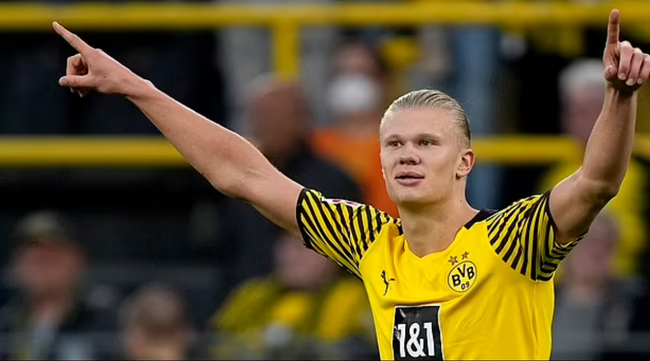 桩型前锋 桩型前锋